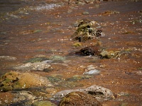 VDA_2870.jpg