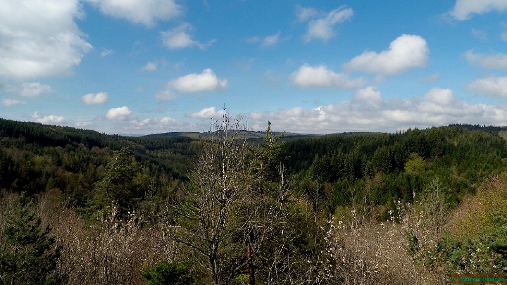 l1000918