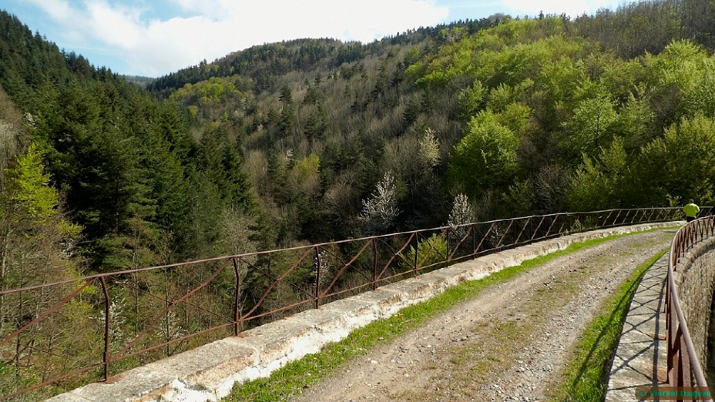 l1000925