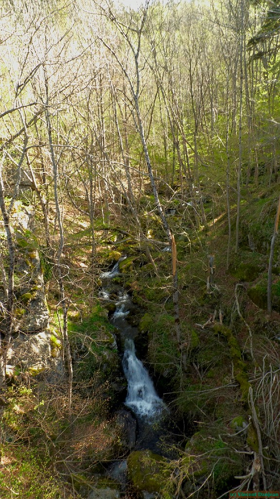 l1000933