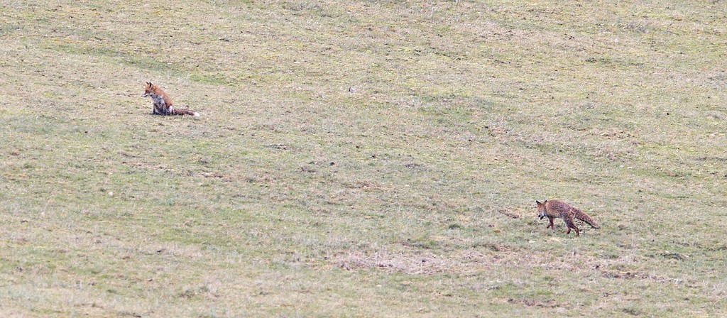400mm-VDA 6198