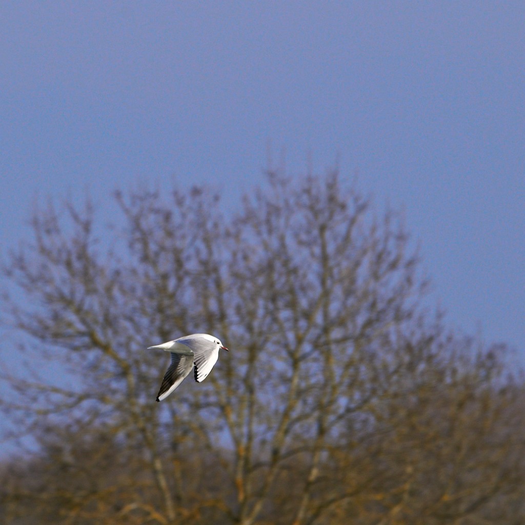 400mm-VDA 6503